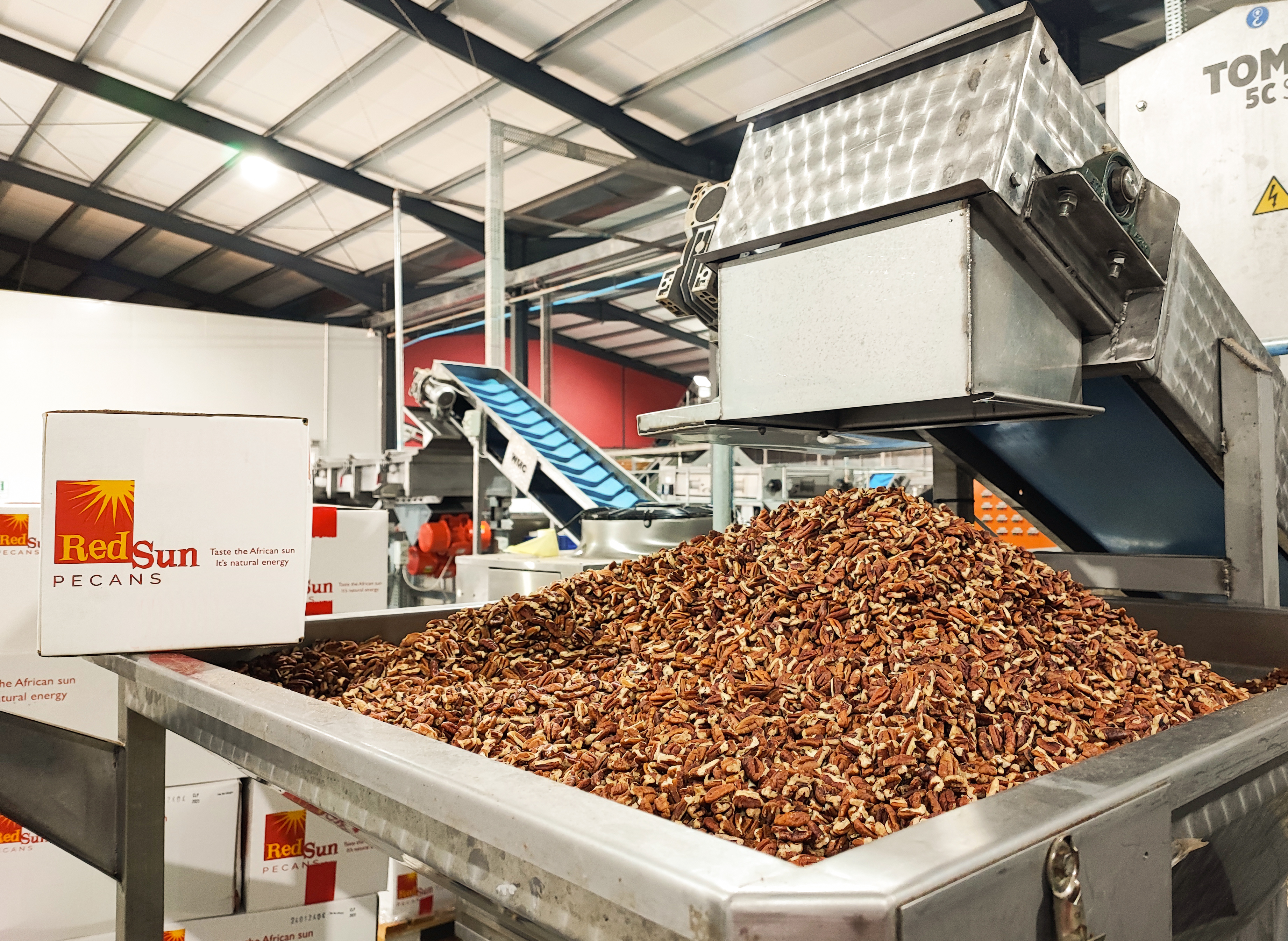 Pile of shelled pecan kernels in a steel bin beside Red Sun Pecans boxes