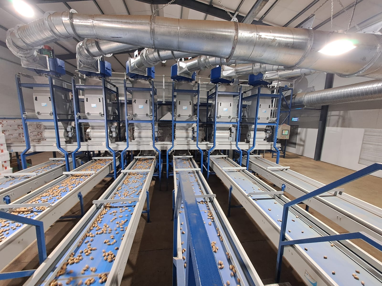 Rows of conveyor belts carrying pecans through the processing plant